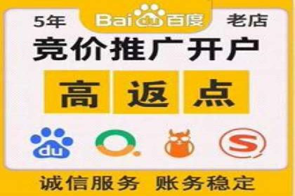 SEM广告优化：成功案例与策略分享